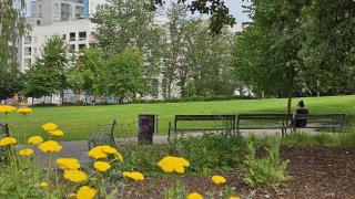 Nainen istuu puun alla vehreässä puistossa. 