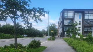 Puutarhatie lähtötilanne.